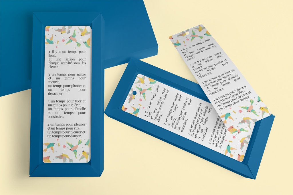 Collection “4 Saisons”