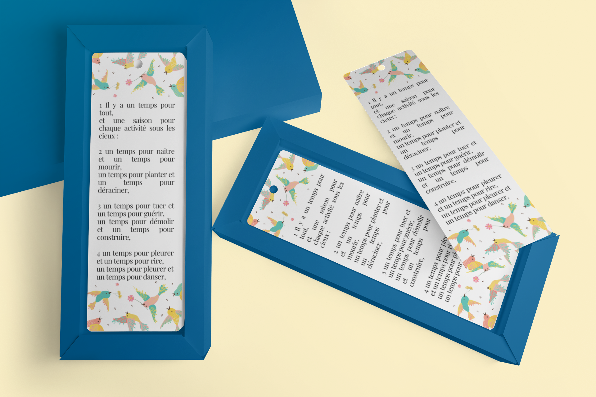 Collection “4 Saisons”