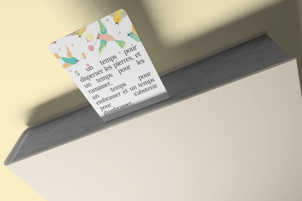 Collection “4 Saisons”