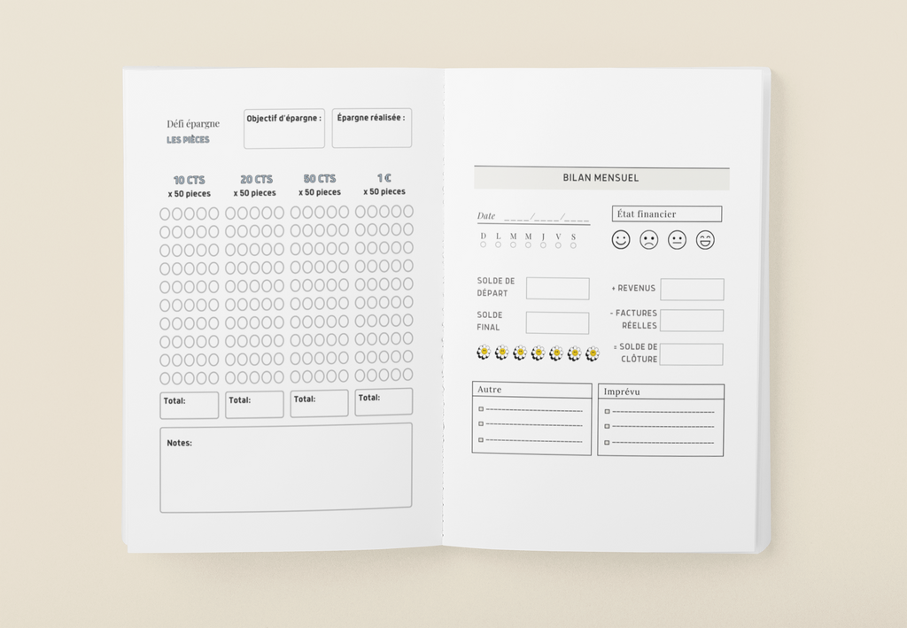 Budget planner, Clarté